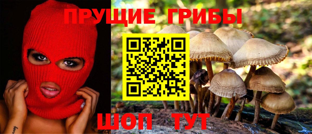 Нижнекамск  Галлюциногенные грибы Cubensis  Вход с VPN 