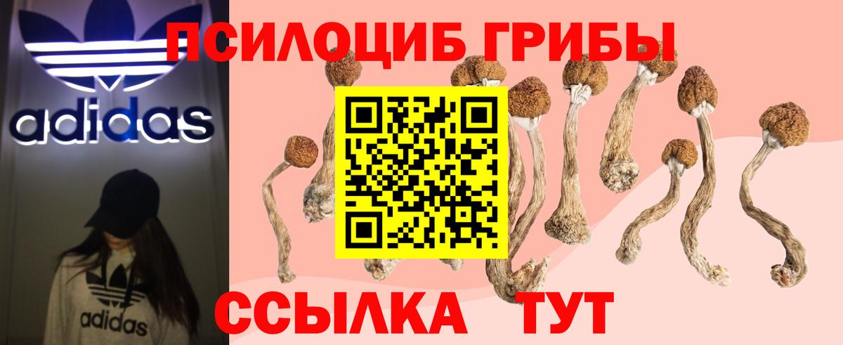 Псилоцибиновые грибы Psilocybine cubensis Нижнекамск